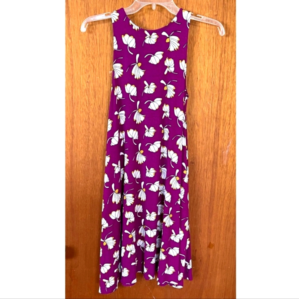 Fighting Eel -Ava Sky sun dress